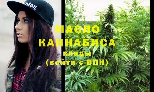 mix Ельня
