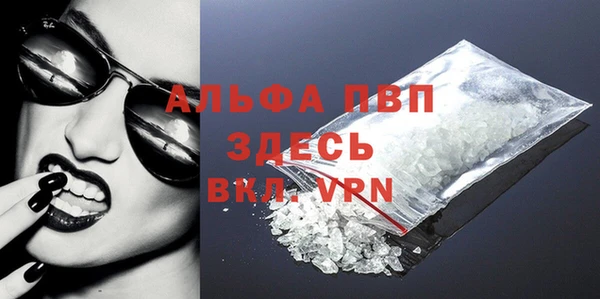 spice Дмитриев