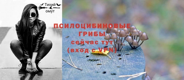 молекула духа Елизово
