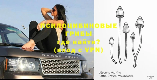 молекула духа Елизово