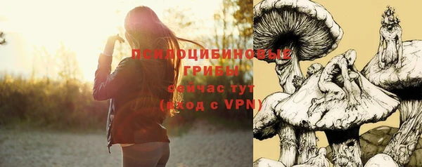 молекула духа Елизово
