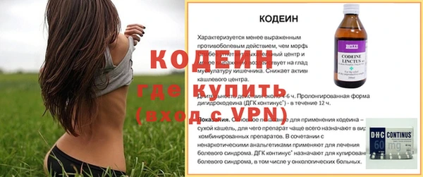 хмурый Елабуга